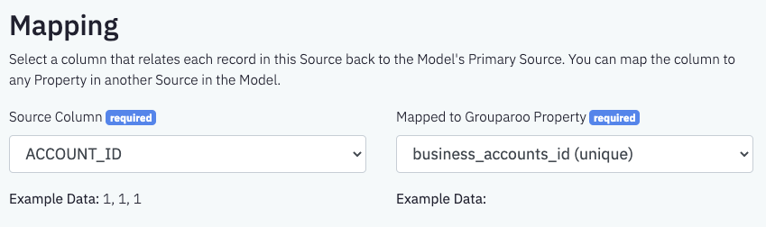 Snowflake Import Table Mapping