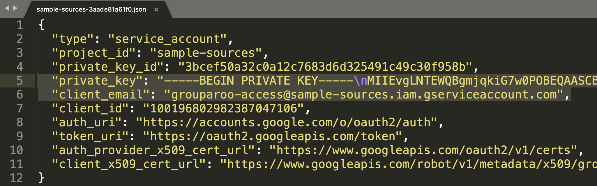 JSON for a Google Service Account key