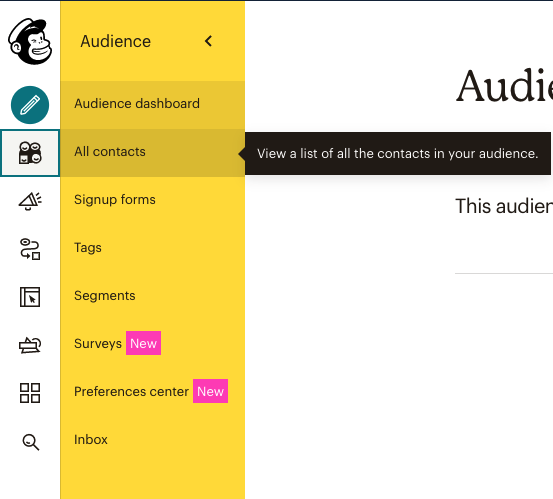 Mailchimp Audience Tab
